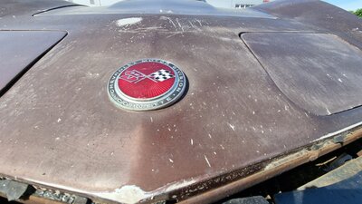 20210615-094141.jpg