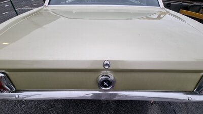 20211206-090218.jpg