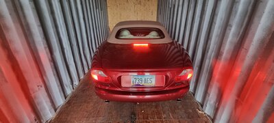 20230213-094608.jpg