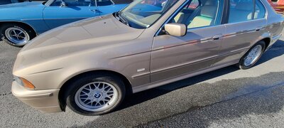 20230315-091241.jpg