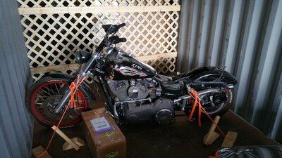 o-20180129-130548.jpg